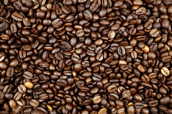 Kavrulmuş Kahverengi Kahve Çekirdeklerini Yakından Çek — Stok fotoğraf