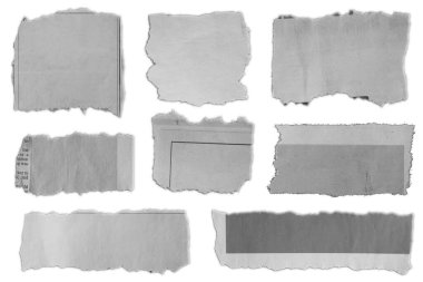 Düz arkaplanda sekiz parça yırtık kağıt 