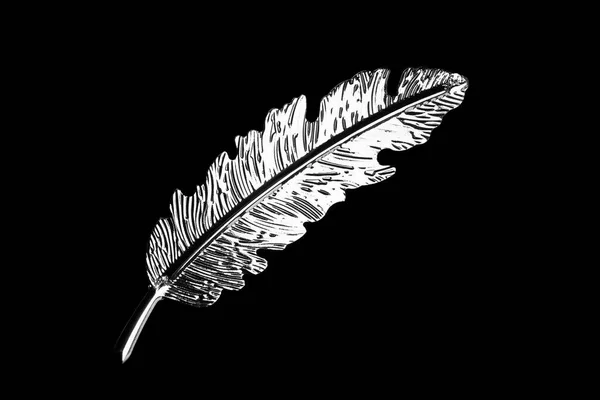 Beautiful Silver Feather Black Background — Fotografia de Stock