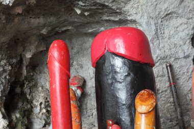 pennis şekil