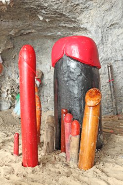 penis şekil