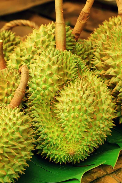 Green Durian — Stock Photo, Image