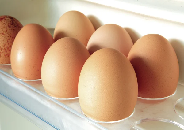 Egg Ice Box — Stock Photo, Image