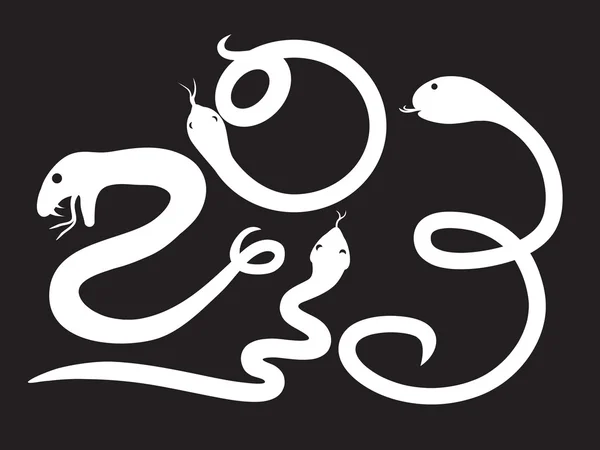 Serpiente blanca 2013 — Vector de stock