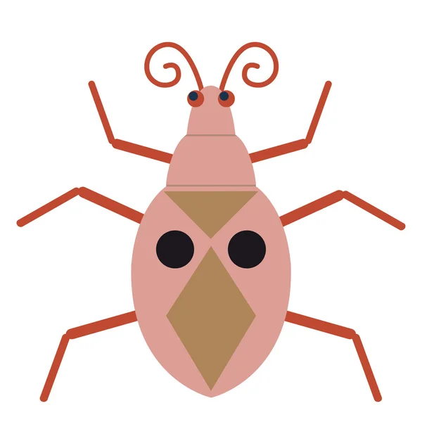 Red Drury Bug — Stock Vector