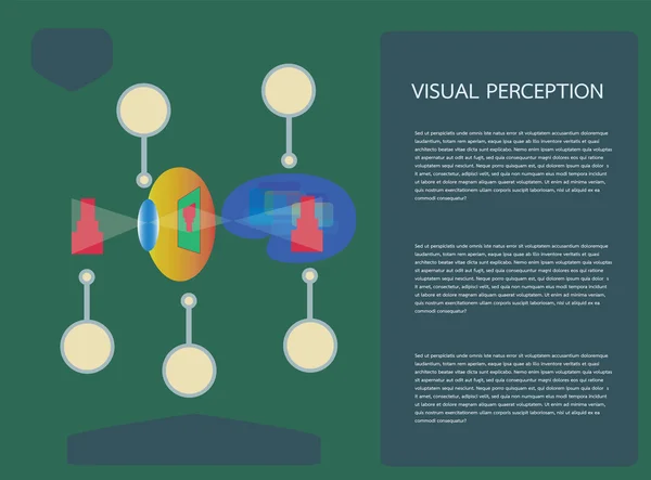 Percepción visual — Vector de stock