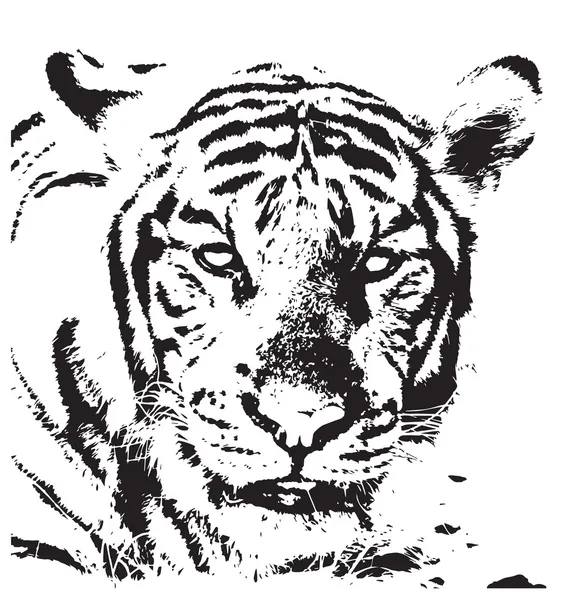 Tiger Line Art Stock Vector by ©koratmember 32748911