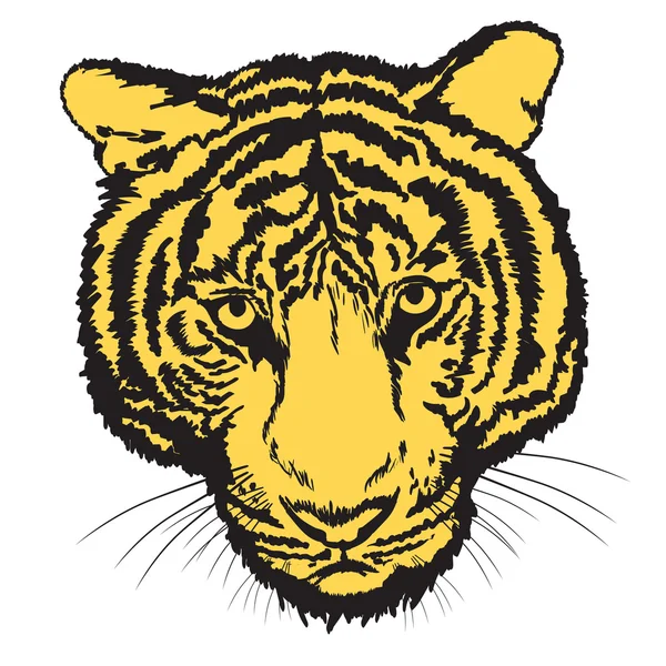 Tigre 2 — Vector de stock