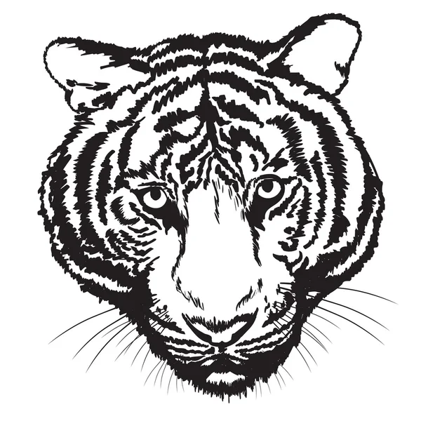Sztuka linii tygrysa — Wektor stockowy