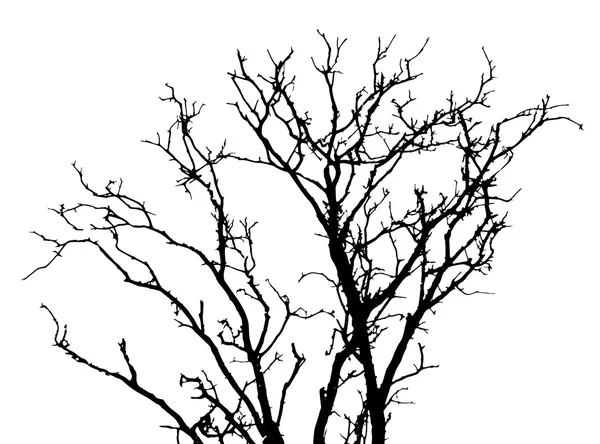 Silhouette Dead Wood — Stock Vector