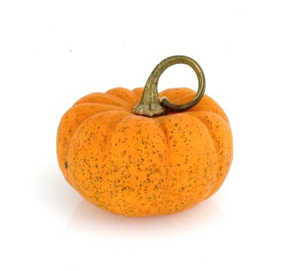 Isolated Fancy Pumpkin — Stock Photo, Image