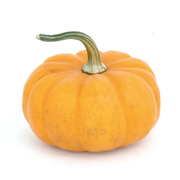 Isolated Fancy Pumpkin — Stock Photo, Image