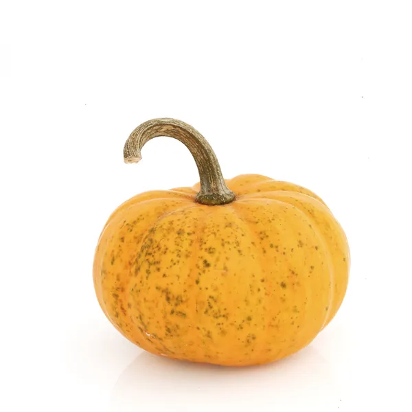 Isolated Fancy Pumpkin — Stock Photo, Image