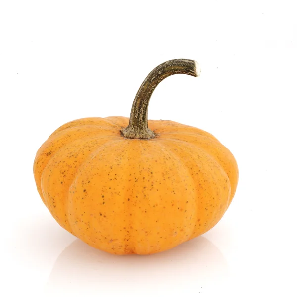 Fancy Pumpkin — Stock Photo, Image