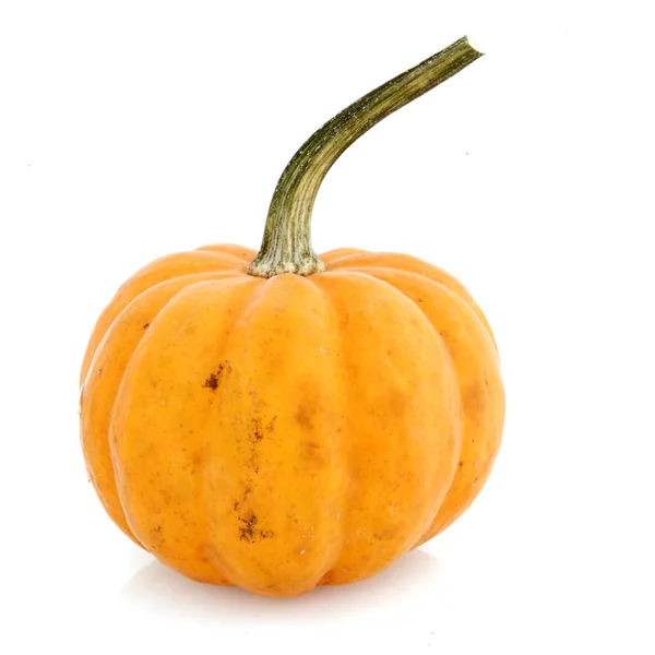 Fancy Pumpkin — Stock Photo, Image