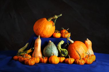 kafatası ile süslü kabaklar