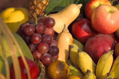 karışık meyve