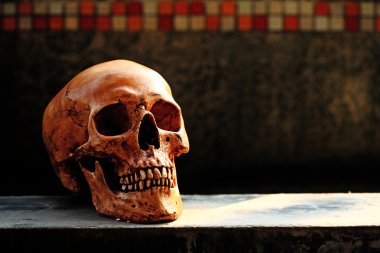 iskelet üzerinde grunge