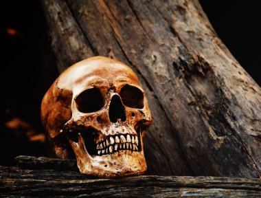 tarım ürünü ile iskelet