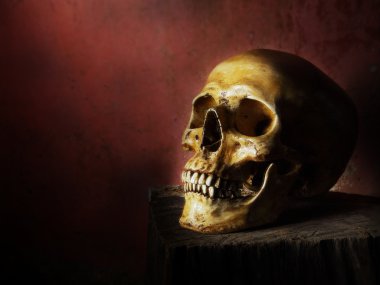 Kafatası açık renkli