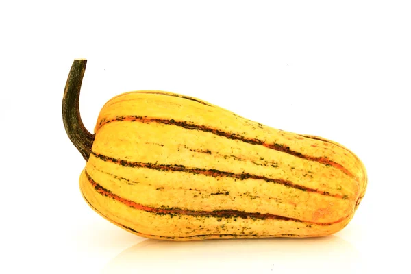 Fancy Pumpkin — Stock Photo, Image