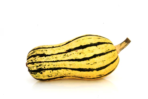 Fancy Pumpkin — Stock Photo, Image