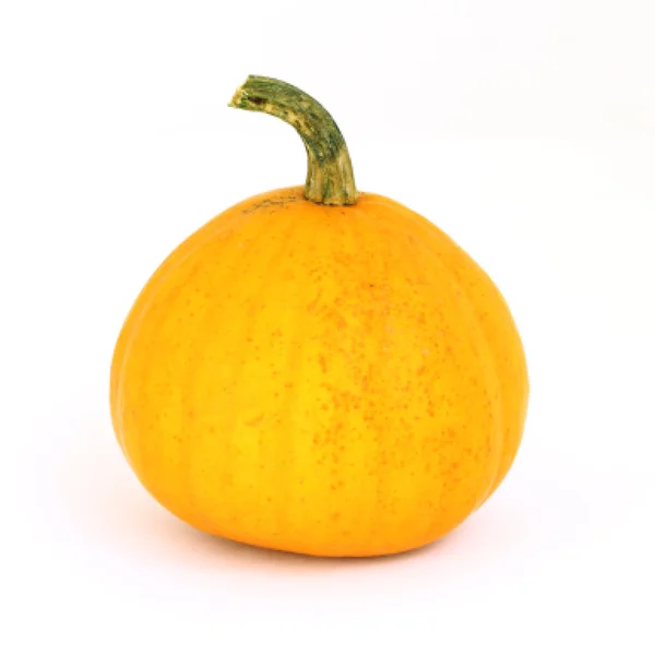 Fancy Pumpkin — Stock Photo, Image