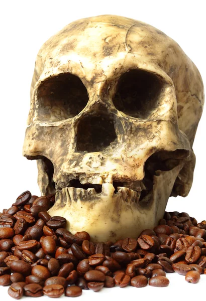 Kafatası ve kahve çekirdekleri — Stok fotoğraf