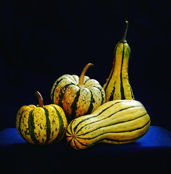 Raw fancy pumpkins — Stock Photo, Image