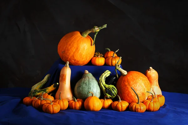 Fancy pumpkins with skull — Stock Photo, Image