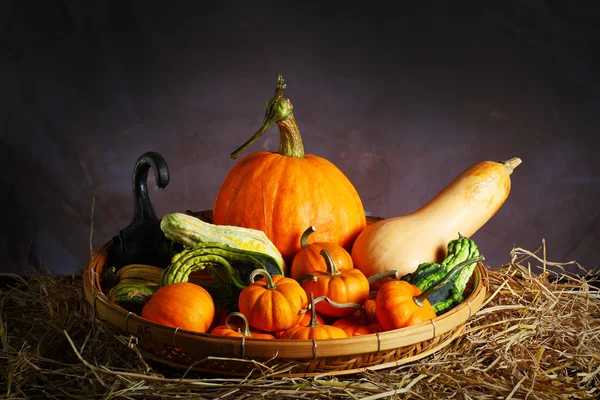 Raw Fancy Pumpkin — Stock Photo, Image