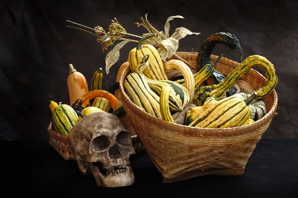 Fancy pumpkins in basket — Stock Photo, Image