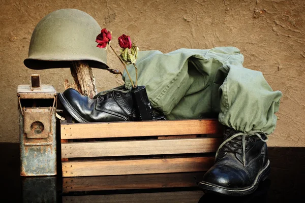 Vintage ordusu kavramı