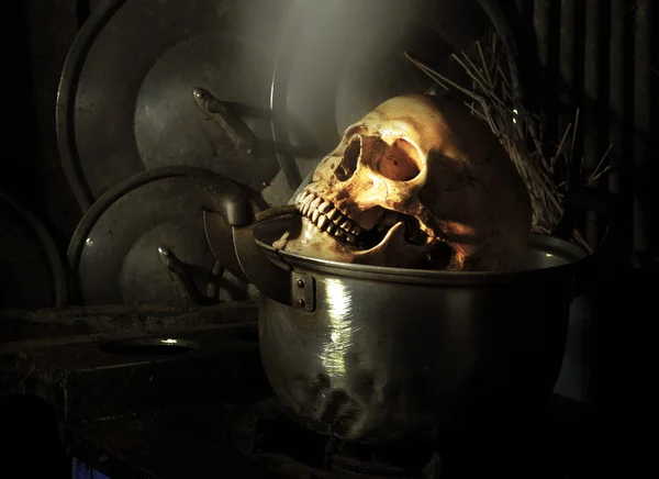 Boiled Skull Skeleton — Stock Photo, Image