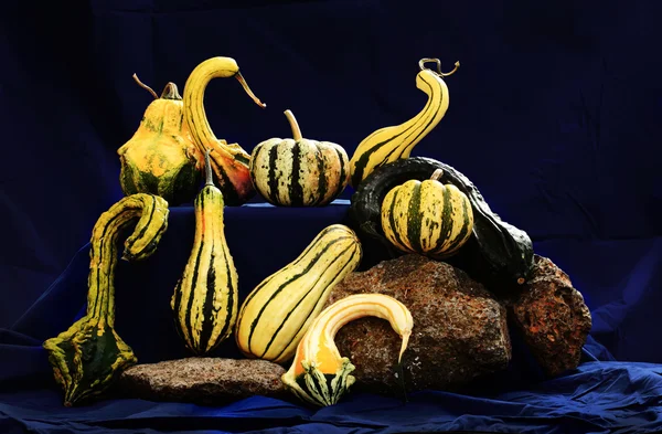 Frutas de produtos hortícolas mistos — Fotografia de Stock