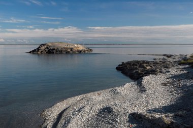 çakıl arctic sahil