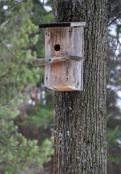 iç içe geçmiş kutusu (kuş yuvası)