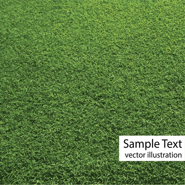 Vetor de textura de grama verde — Vetor de Stock