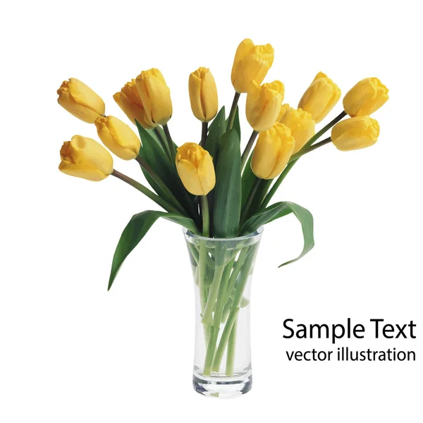Vetor tulipas amarelas — Vetor de Stock