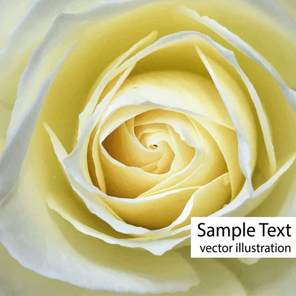 görüntüyü Sarı Gül