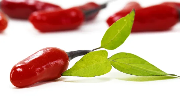 kırmızı biber yeşil yaprak ile