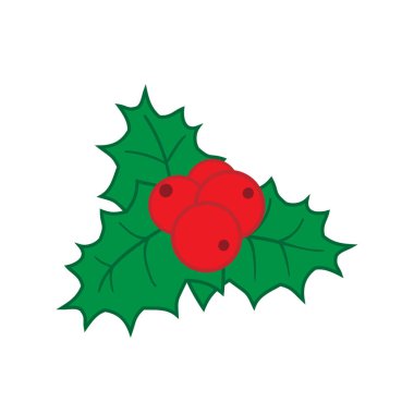 Beyaz arka planda Noel süslemesi olarak Holly, vektör illüstrasyonu