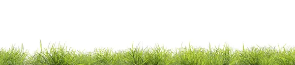 Photoreal Grass Panorama White Background Rendering — 스톡 사진