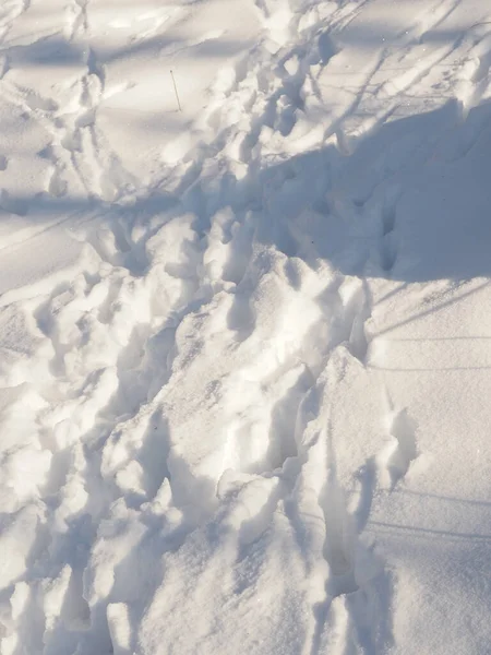 Huellas Animales Nieve Profunda Belleza Del Invierno — Foto de Stock