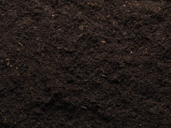 Texture Planting Bed Potting Soil View Space Your Image Text — Stock Photo, Image