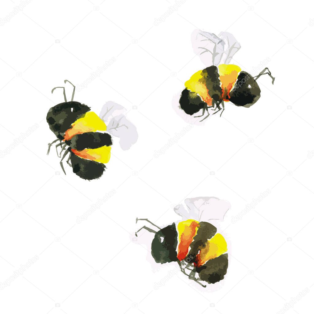 Watercolor painting of three cute bumblebees on a white background, vector illustration