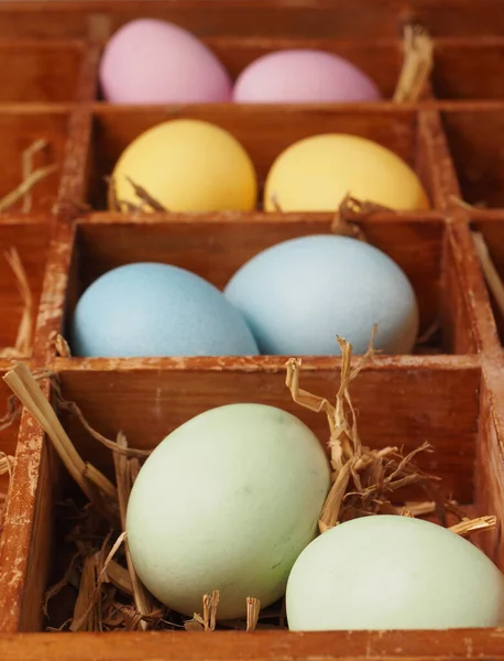 With natural dyes self-dyed organic eggs in a straw nest, holiday or healthy food concept