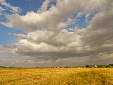altın buğday alan ve bulutlu gökyüzü