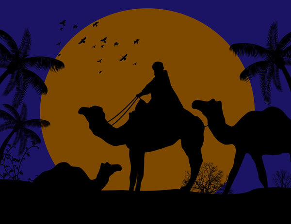 Караван верблюдов-бедуинов
