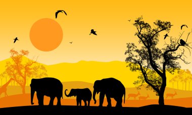 gün batımında Afrika yaban hayatı
